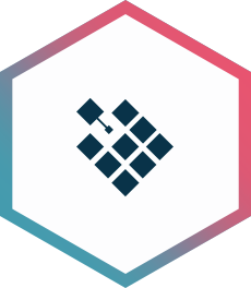 icon1 icon1